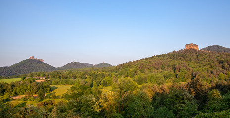 Fototapeta na wymiar South Palatinate Forest Landscape and Castle Trifels Germany
