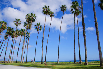 Amazing view by the ocean in sunny California