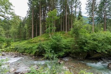 Kleiner Bach in idylischer Wiesen und Waldlandschaft