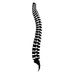 Human spine sign. Black icon spine isolated on white background. Human spinal column symbol. Stock vector illustration. 