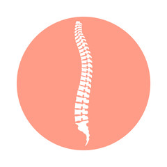 Spine human graphic icon. Spinal column sign in the circle isolated on white background. Vector illustration 