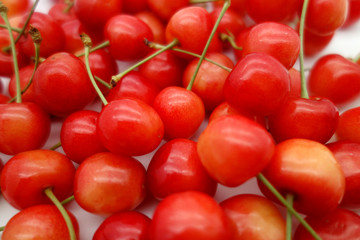 cherry