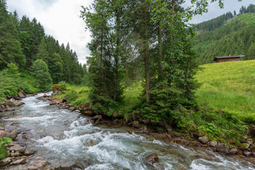 Kleiner Bach in idylischer Wiesen und Waldlandschaft