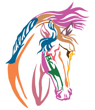 Colorful decorative portrait of Arabian horse vector illustration