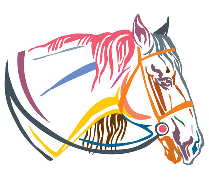 Colorful decorative portrait of horse in profile with bridle vector illustration