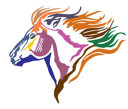 Colorful decorative portrait of pony vector illustration