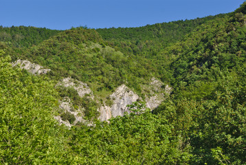 Fototapeta na wymiar Monti nelle Marche