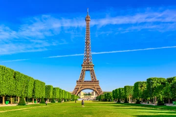 Deurstickers Paris Eiffel Tower and Champ de Mars in Paris, France. Eiffel Tower is one of the most iconic landmarks in Paris. The Champ de Mars is a large public park in Paris © Ekaterina Belova