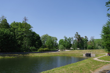 park with a small pond and trees