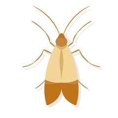 Meal moth icon