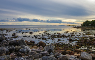 Fototapeta na wymiar The stones on the bottom of the White sea during low tide on Solovki