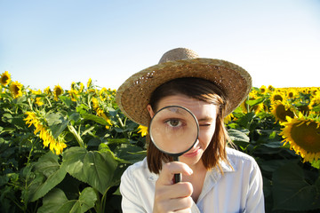 Young farmer or agronomist woman examine the sunflower field with magnifying glass