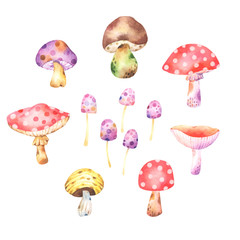 Set of cute cartoon style autumn watercolor mushrooms on white background