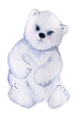 Cute little polar bear. Isolated on white background. Watercolor illustration
