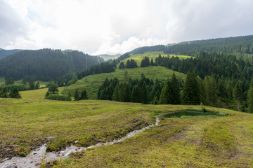 Naklejka premium Kleiner Bach in idylischer Wiesen und Waldlandschaft