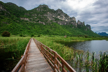 Fototapeta na wymiar The wooden bridge overlooking the scenery at Sam Roi Yod National Park. It is beautiful and surrounded by nature in Prachuap Khiri Khan, Thailand.