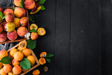 Fresh ripe apricots and plums on black wooden background. Copy space