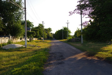rural road with electric poles and fences