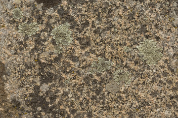 Granite background with moss