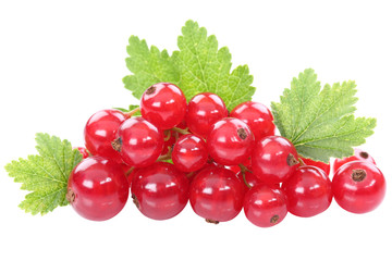 Rote Johannisbeeren Johannisbeere Früchte Frucht Blätter Beeren Obst Freisteller freigestellt isoliert