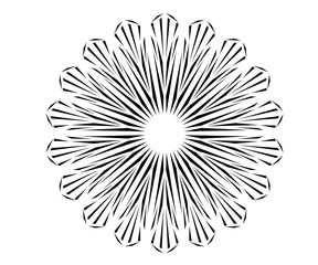 radial motif concentric lines circular design - 212209284