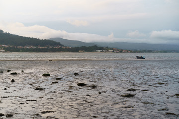 The River during the low tide