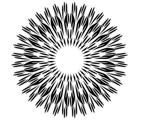 radial motif concentric lines circular design