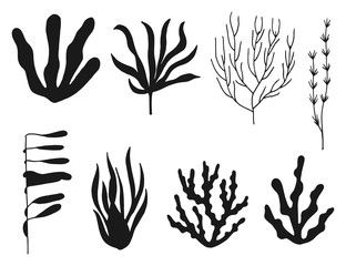 seaweed set black vector silhouette isolated