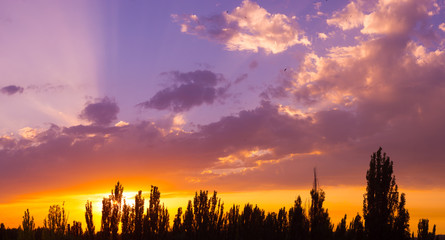 Obraz premium Landscape with dramatic light - beautiful golden sunset with saturated sky and clouds.