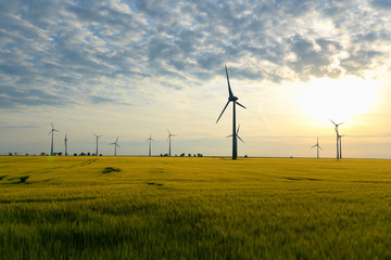 Fototapeta na wymiar renewable energies - power generation with wind turbines in a wind farm 
