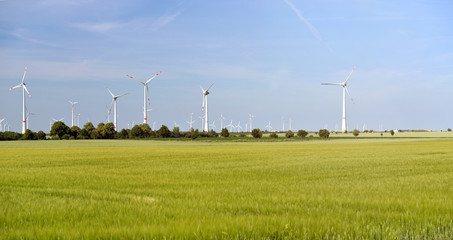 renewable energies - power generation with wind turbines in a wind farm  - obrazy, fototapety, plakaty