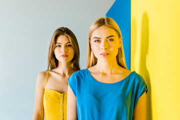 Beautiful brunette and blonde girls posing on blue and yellow background