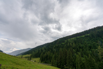 Weite Wiesen und Waldlandschaft