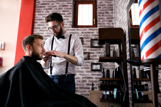 Professional master hairdresser cuts client beard