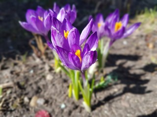 My Collection Macro Denis Ratskov