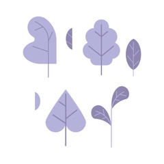 Violet plant leaves set isolated on white background. One color decoration elements of trees and flowers leaves for using in your design in flat style, vector illustration.
