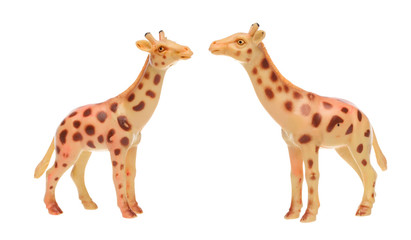 Toy giraffe on white isolated background