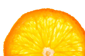 Orange circle on white background