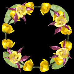 Beautiful floral background aquilegia and water-lilies  