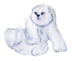 Cute little polar bear. Isolated on white background. Watercolor illustration 