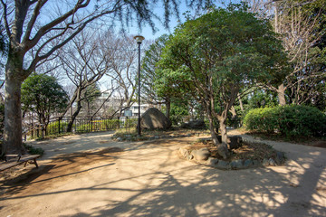 Fototapeta premium 亀塚公園