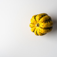 curcubitacée