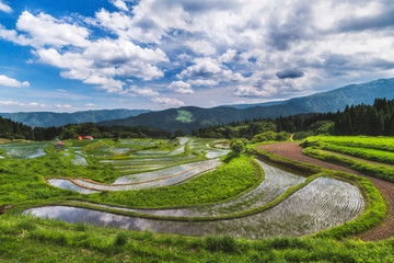 兵庫 別宮の棚田