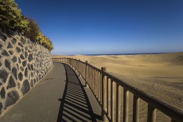 maspalomas dunes, gran canaria, spain - summer evening time, wind is blowing the sand up, sunset and golden hour, dunes, perfect time, end of sunny day