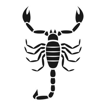 Scorpion vector icon