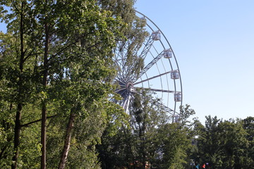 Ferris wheel in the Park
