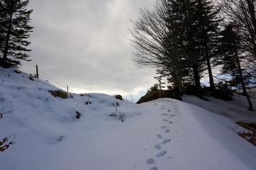 Der unbekannte Wanderweg