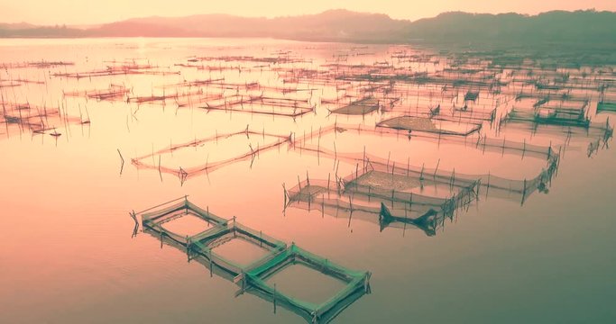 Rowo Apung Floating Place Jombor Klaten fishing pond aerial view at sunrise, Yogyakarta, Indonesia