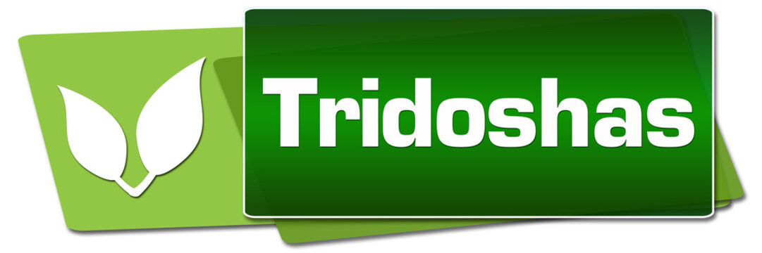 Tridoshas Green Side Squares 