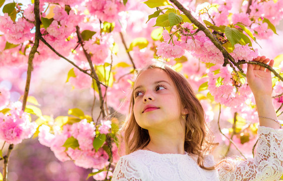 Girl on smiling face standing near sakura flowers, defocused. Sweet childhood concept. Girl with long hair outdoor, cherry blossom on background. Cute child enjoy aroma of sakura on spring day.